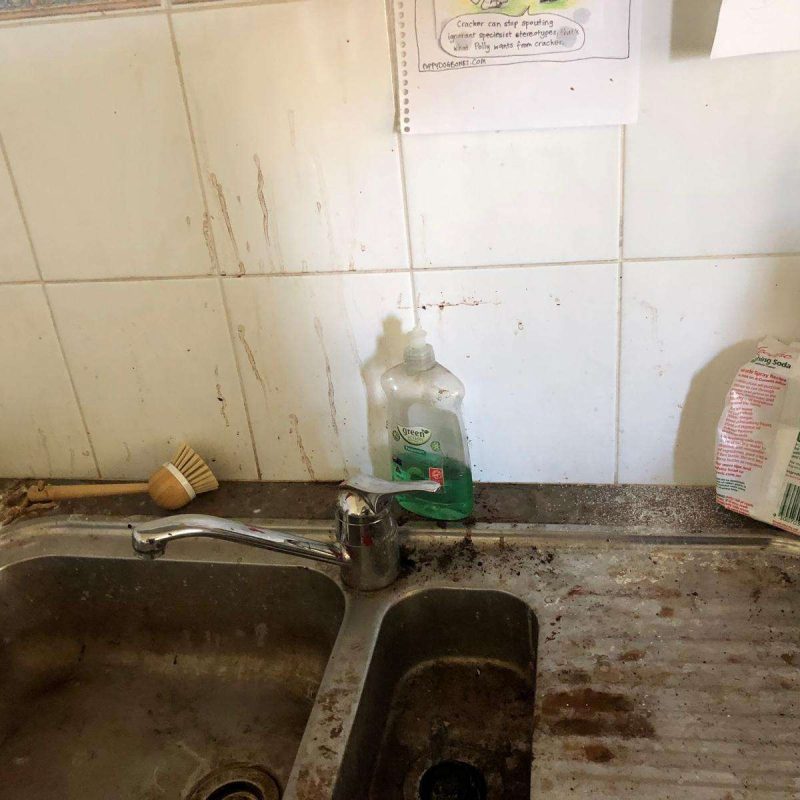 PHOTO-2024-10-28-07-58-15 (1)